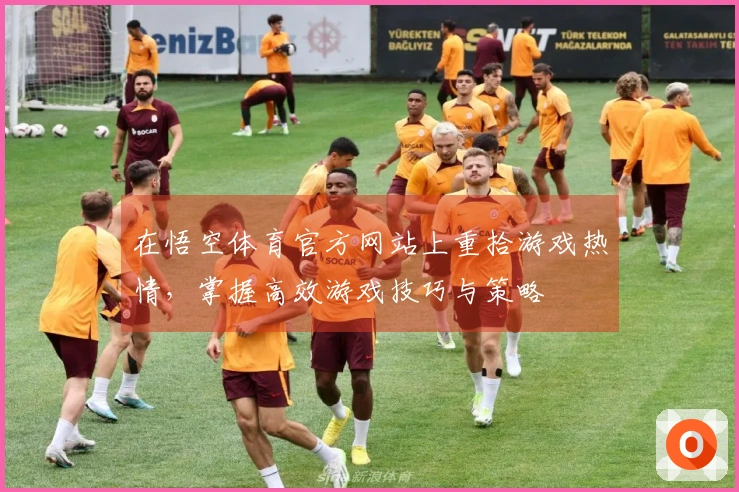 在悟空体育官方网站上重拾游戏热情，掌握高效游戏技巧与策略