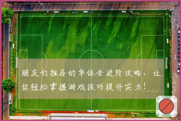 朋友们推荐的华体会进阶攻略，让你轻松掌握游戏技巧提升实力！